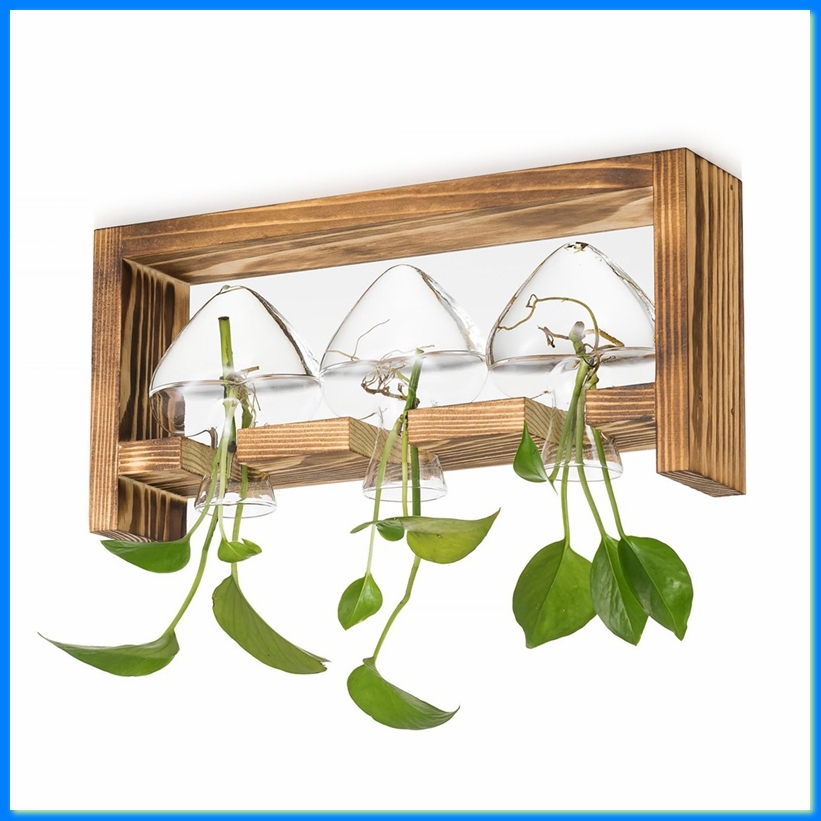 Glas-Pflanzenzuchtstation: Vin – Propagation Station Vase Bewertung und Preis